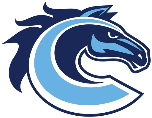 Comstock logo