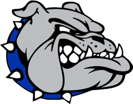 Ionia High School logo