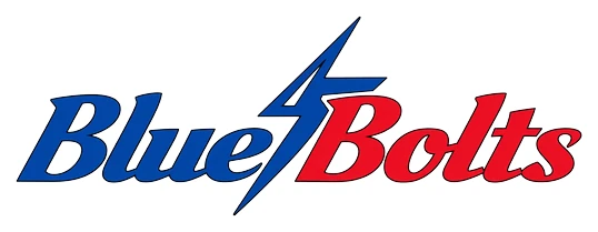 Dollar Bay-Tamarack City Area K-12 School logo