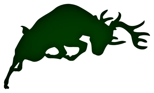 Pine River logo