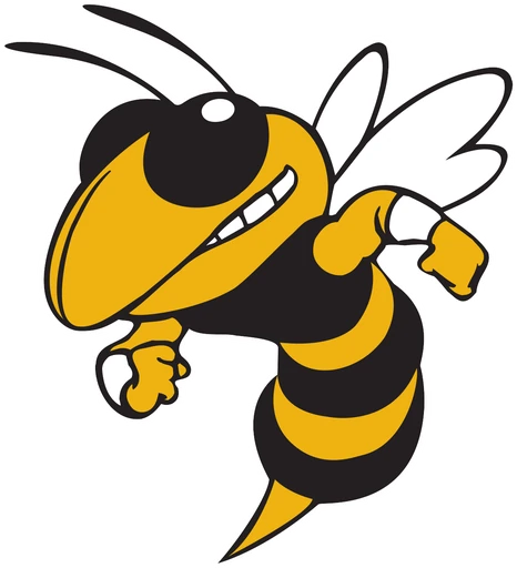 Ithaca High School logo