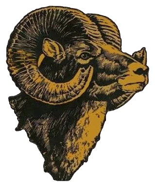 Taylor Center High School logo