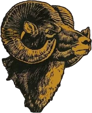 Taylor Center High School logo