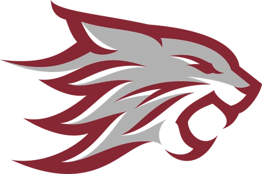 California State University, Chico logo